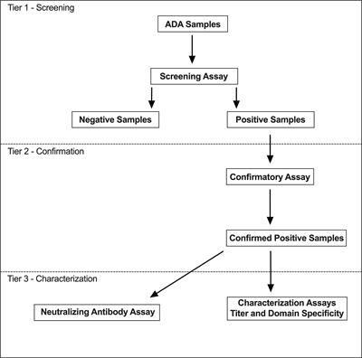 Frontiers | Integrated Summary Of Immunogenicity Of Polatuzumab Vedotin ...